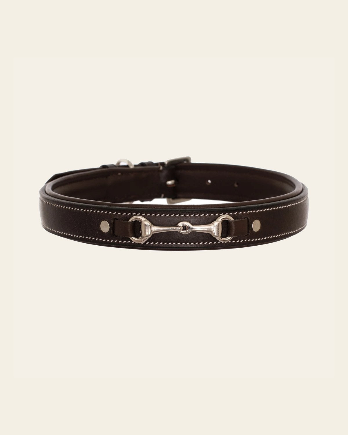 ExionPro Silver Snaffle Padded Leather Dog Collar - Brown Padding on a warm cream background