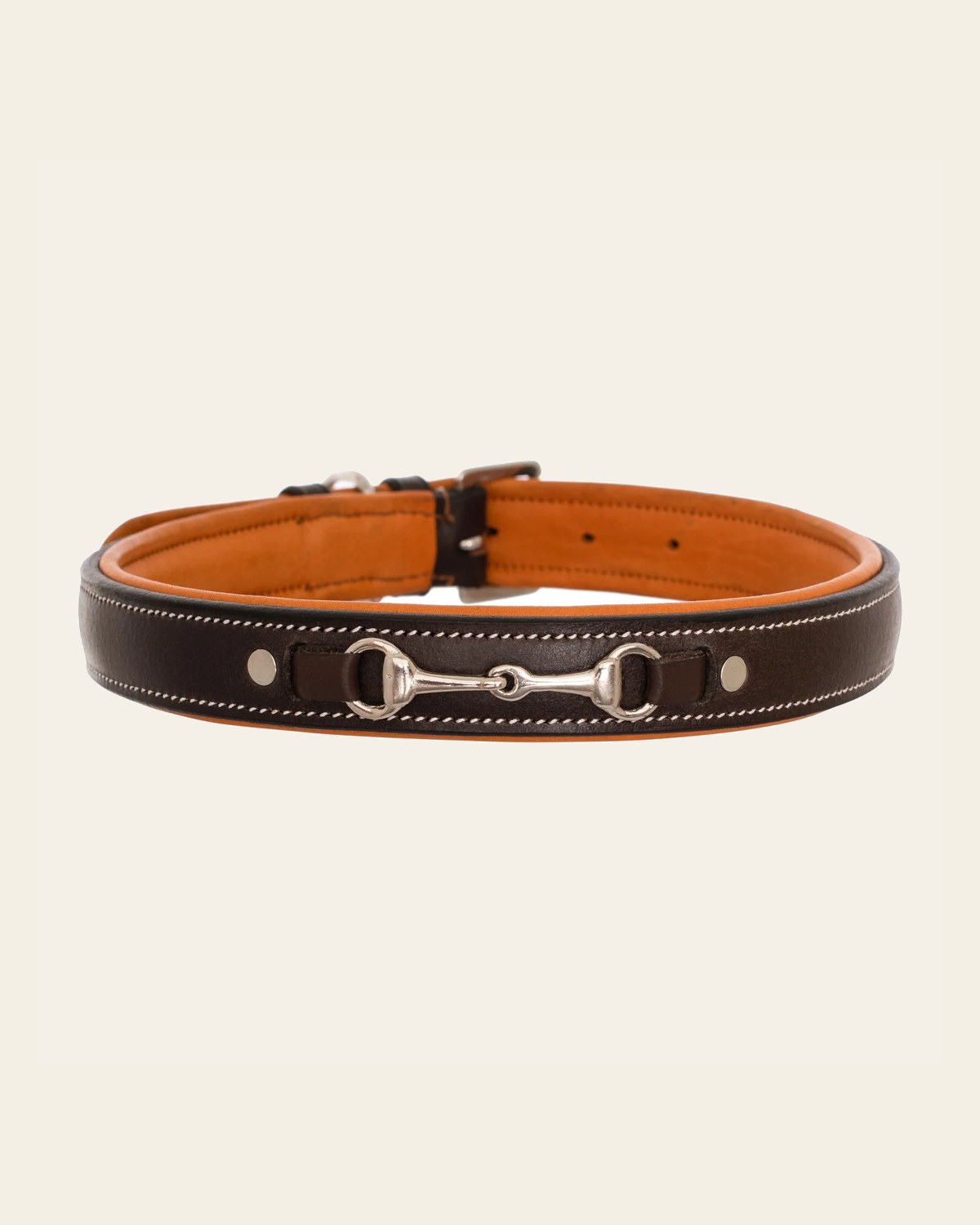 ExionPro Silver Snaffle Padded Leather Dog Collar - Conker Padding on a warm cream background