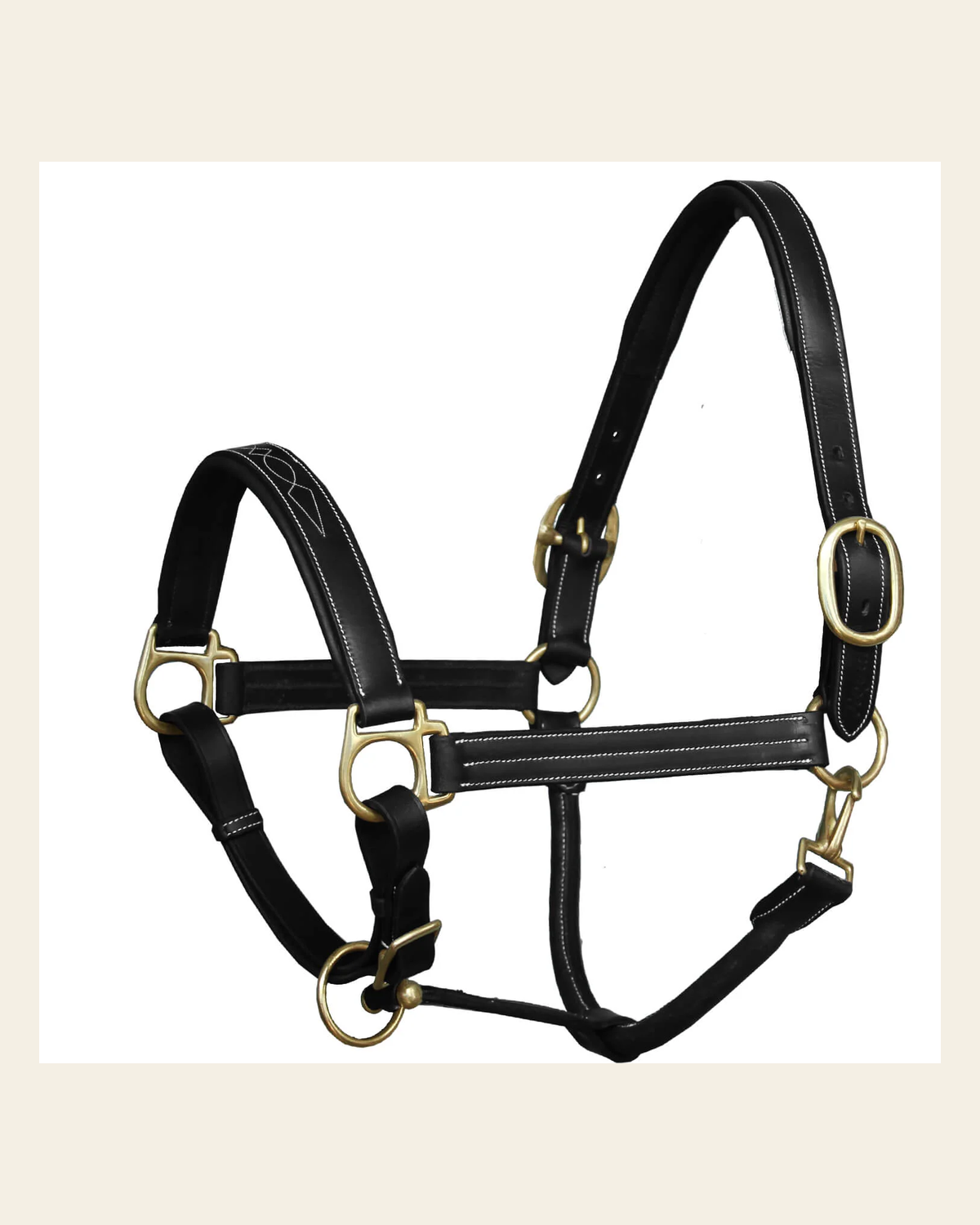 ExionPro Triple Stitched Halter - Brass Hardware on a warm cream background