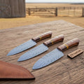 3-Piece Feather Pattern Damascus Knife Set with Rosewood Pakka Wood Handles