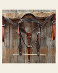 Floral and Teal Dot Pony Tack Set #P56258 on a warm cream background