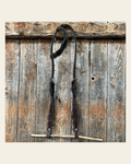 Floral Scalloped Dark Oil One Ear Headstall / Bridle on a warm cream background