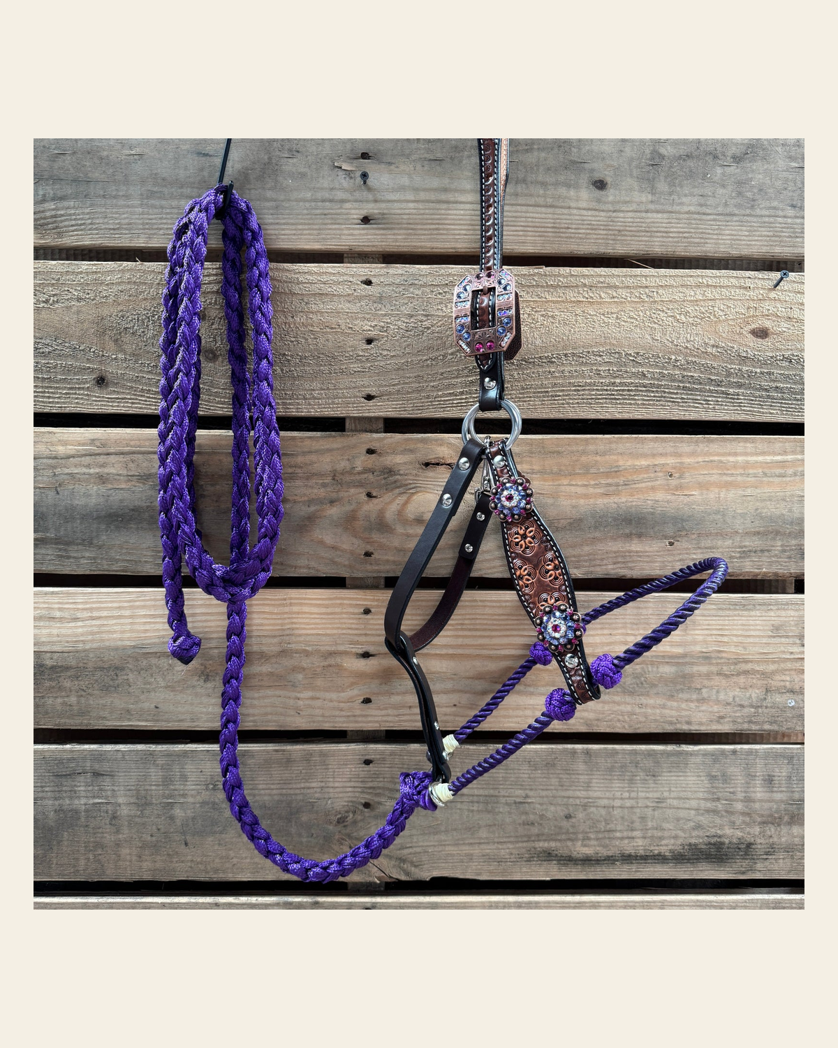 Flower Power Lariat & Leather Combo Halter #LH101 on a warm cream background