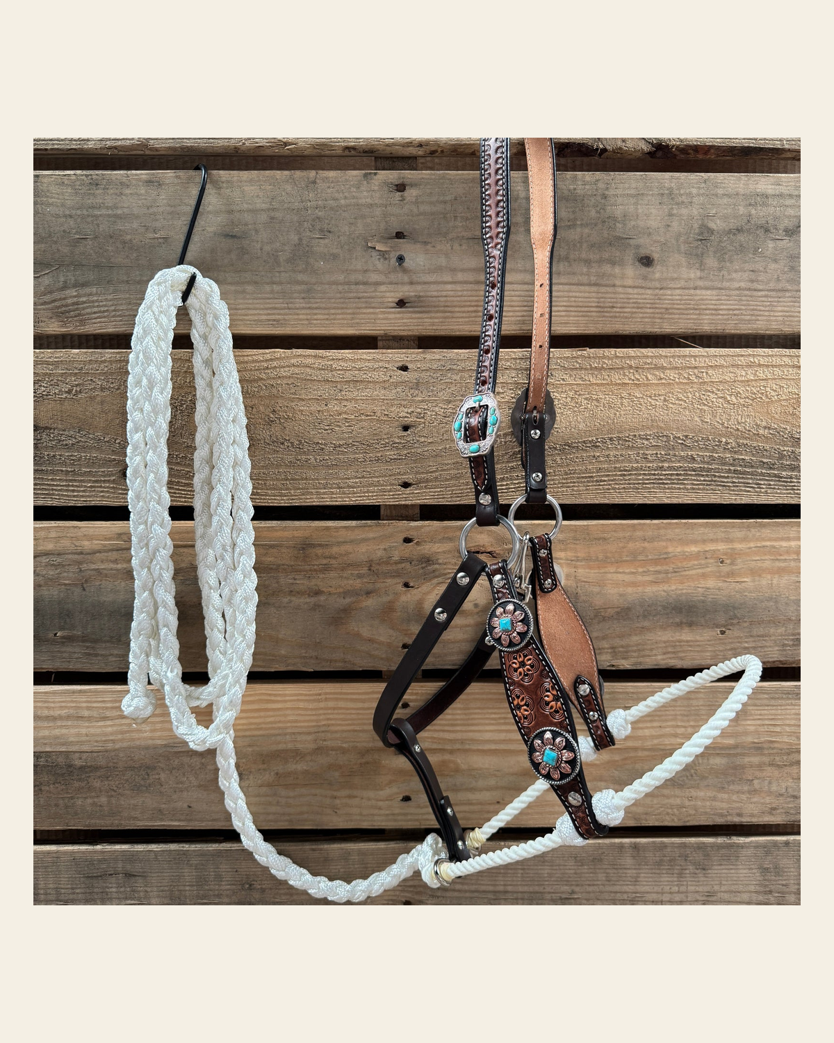 Flower Power Lariat & Leather Combo Halter #LH104 on a warm cream background