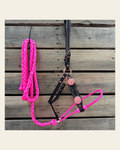 Honeycomb Tooled Lariat & Leather Combo Halter #LH107 on a warm cream background
