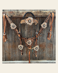 Floral Whipstitch Champagne and Clear Browband - Triangle / Gladiator Breastcollar Tack Set #BBBC462 on a warm cream background