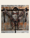 Flower Power and Chocolate Browband/One Ear Headstall & Breastcollar Tack Set #BBBC588 on a warm cream background