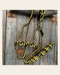Gold and Black Mule Tape Halter on a warm cream background