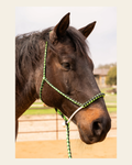 Green and Black Lariat Noseband Mule Tape Halter on a warm cream background