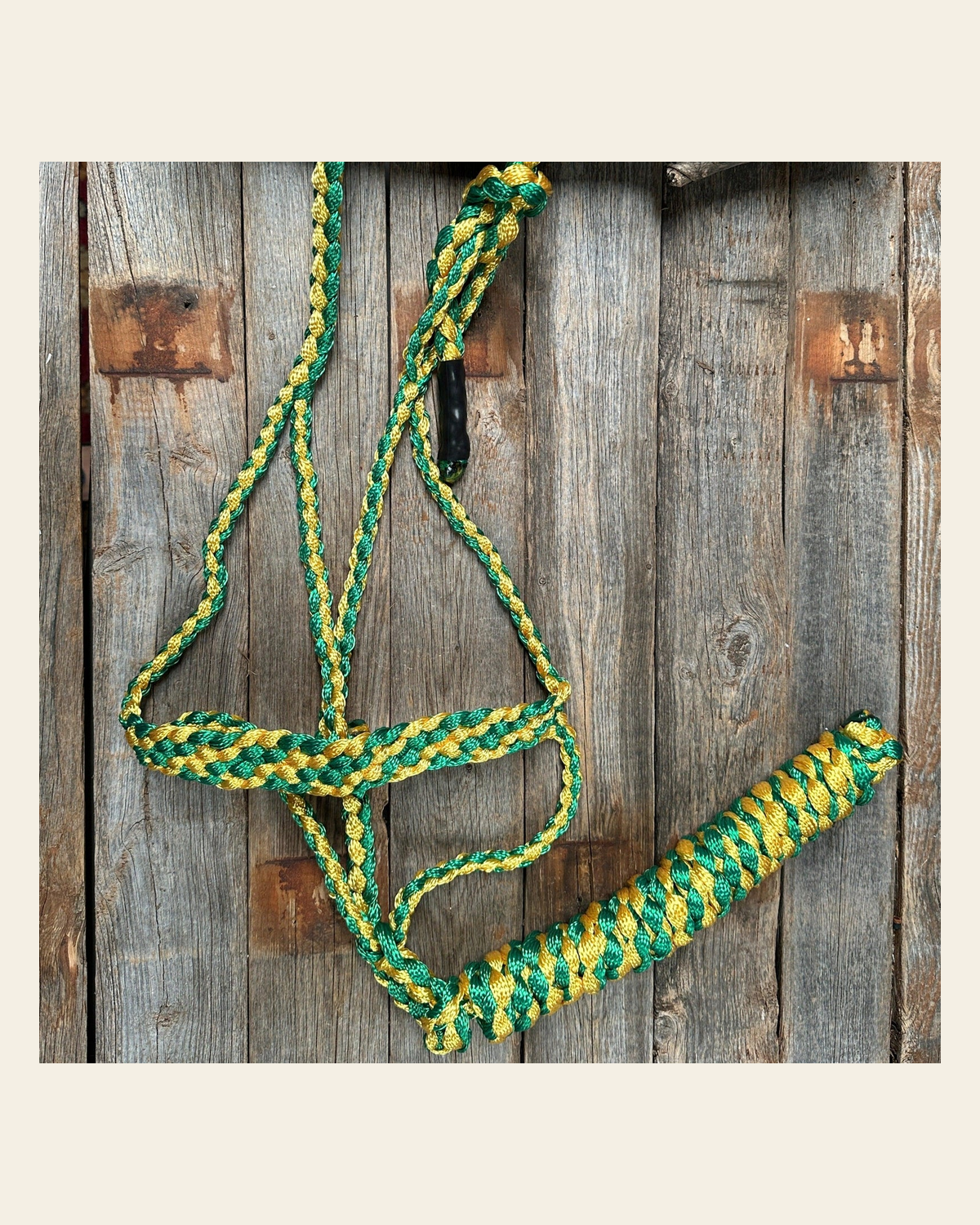 Green and Gold Mule Tape Halter on a warm cream background