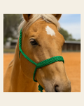 Green Mule Tape Halter on a warm cream background