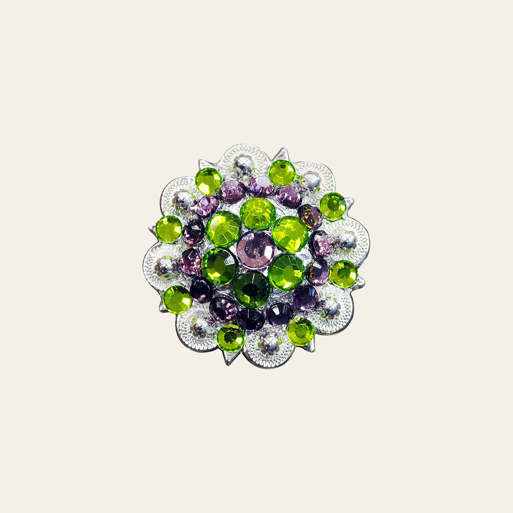 Green Purple Crystal 1-1/4In Berry Headstall Saddle Hilason