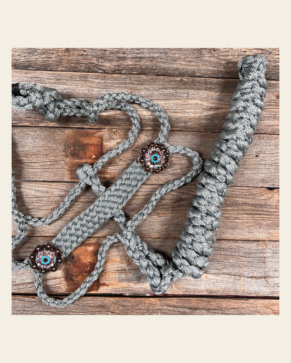 Grey Mule Tape Halter - #MT114 on a warm cream background