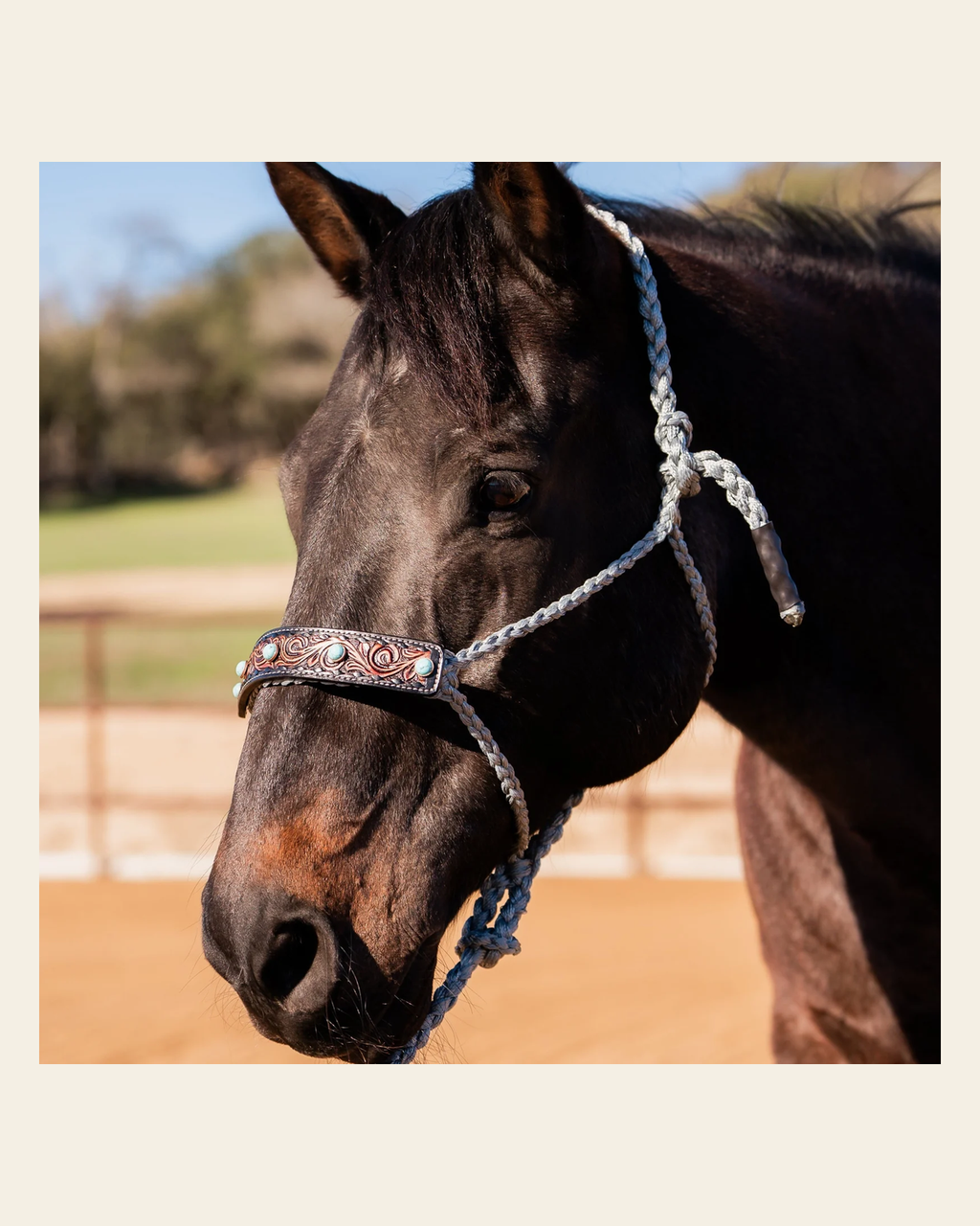 Grey Mule Tape Halter -Turquoise Cabochon #MT232 on a warm cream background