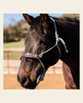 Grey Mule Tape Halter -Turquoise Cabochon #MT232 on a warm cream background