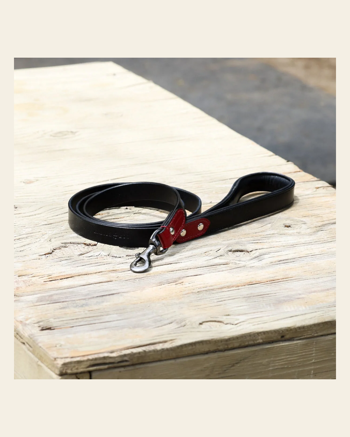 Halter Ego® Breanna Dog Leash on a warm cream background