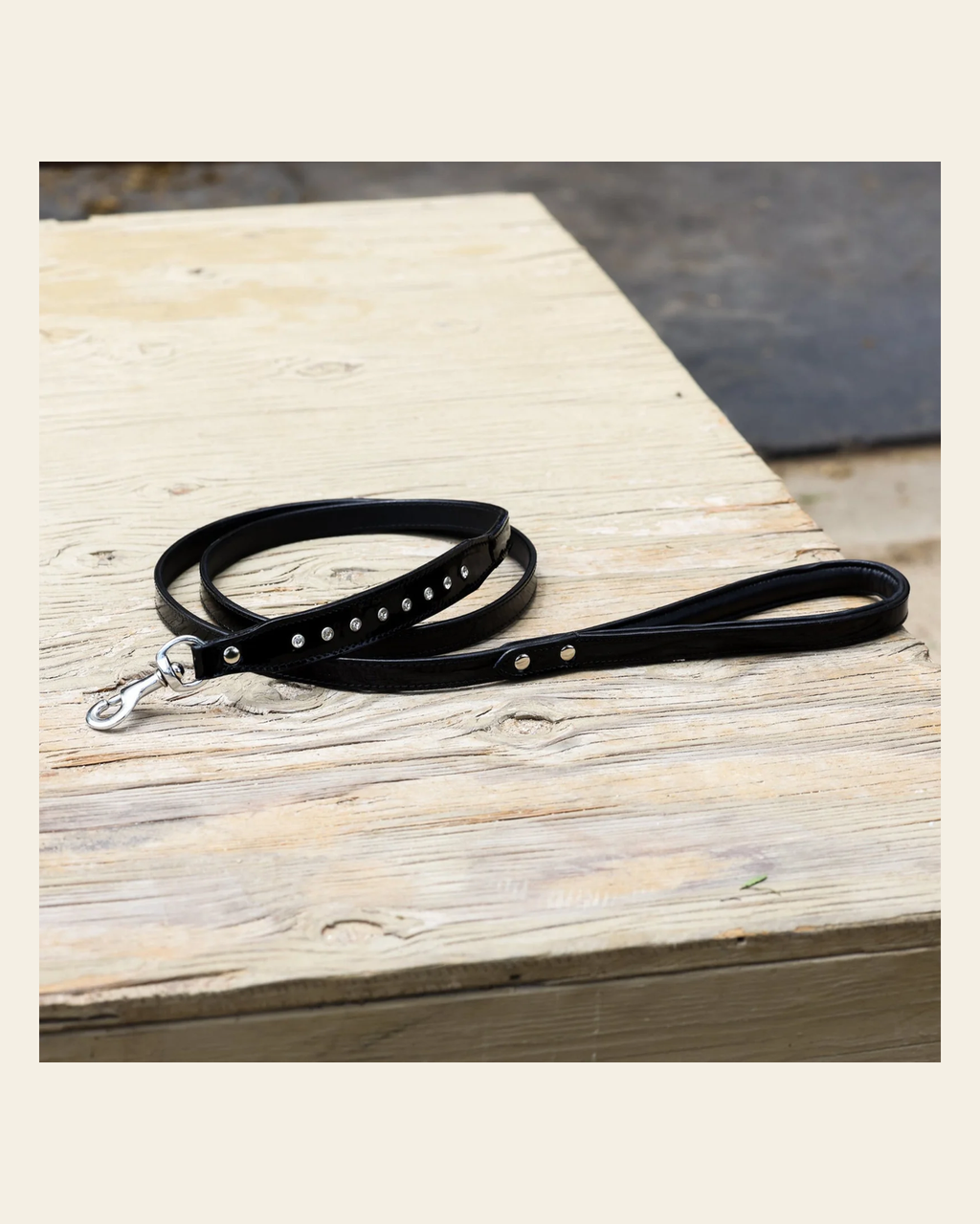 Halter Ego® Celebrity Black Patent Dog Leash on a warm cream background