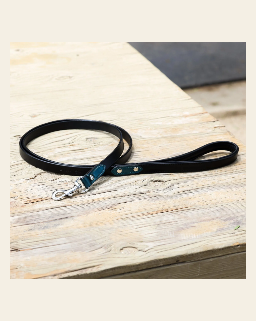 Halter Ego® Metallic Teal Dog Leash on a warm cream background