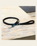 Halter Ego® Metallic Teal Dog Leash on a warm cream background