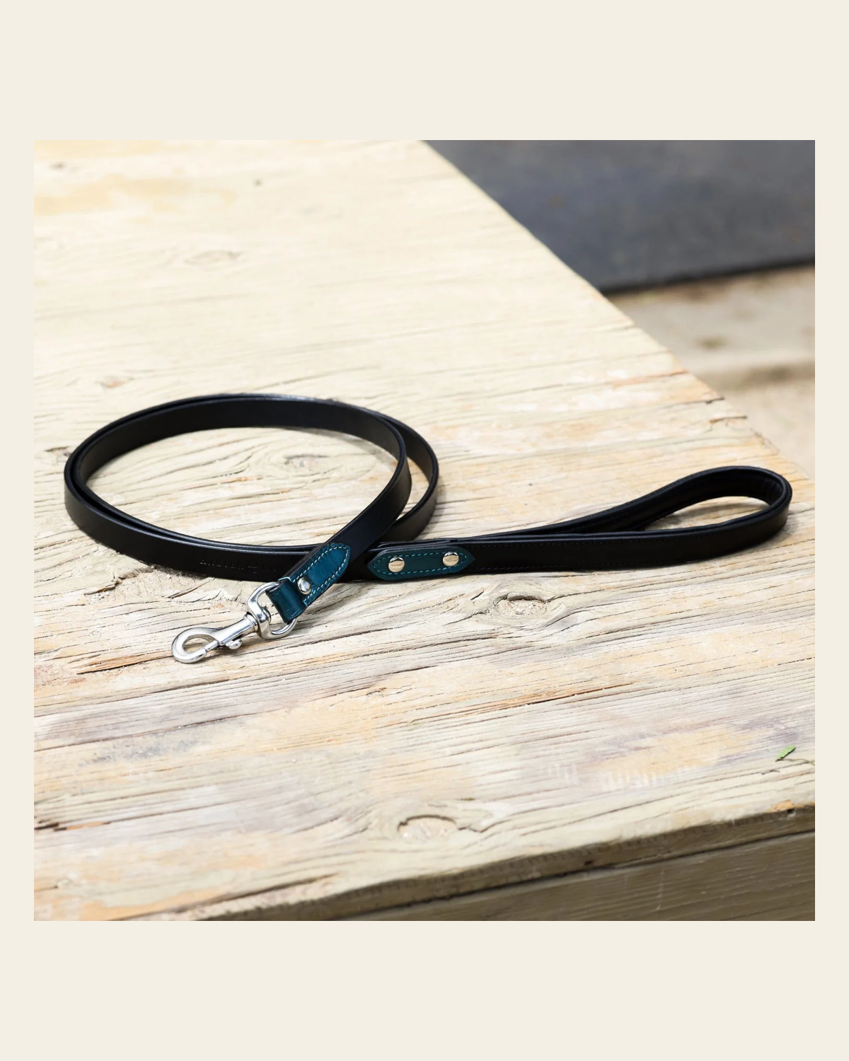 Halter Ego® Metallic Teal Dog Leash on a warm cream background