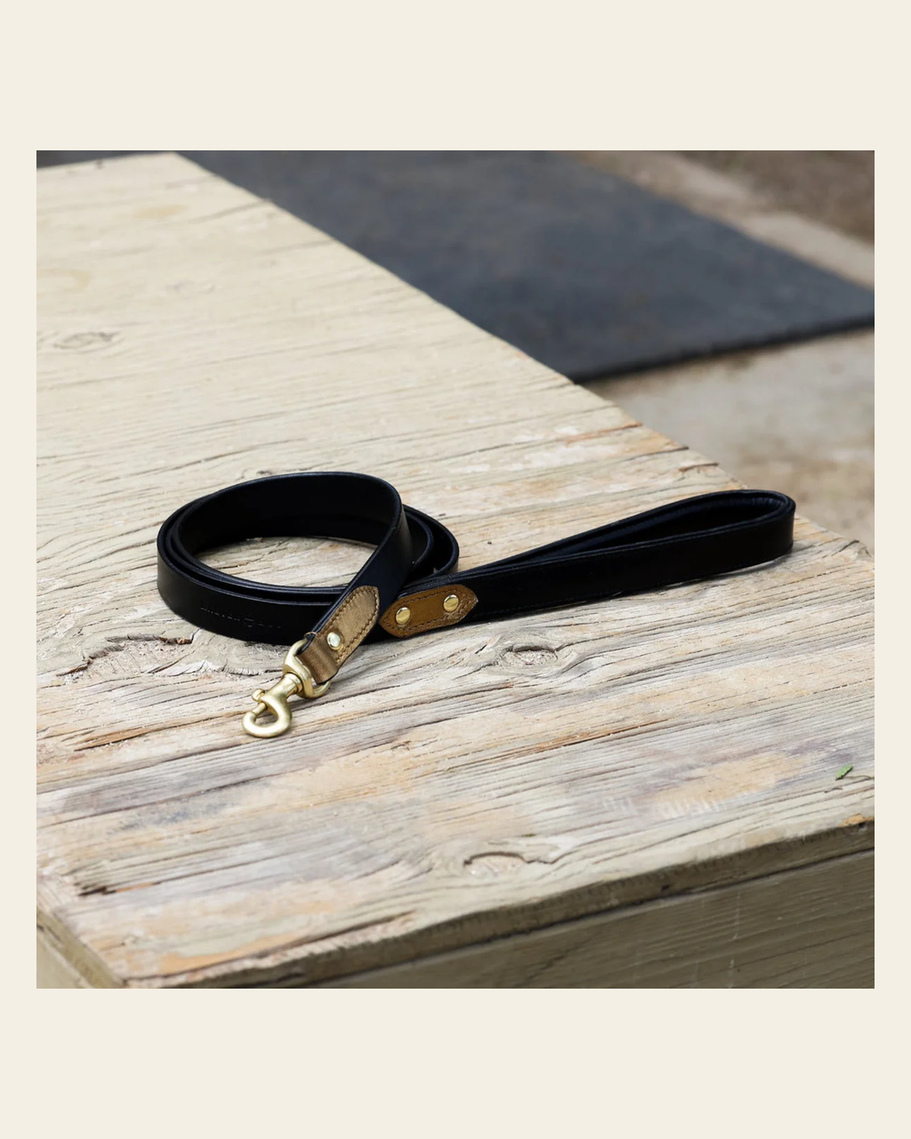 Halter Ego® Milan Dog Leash on a warm cream background