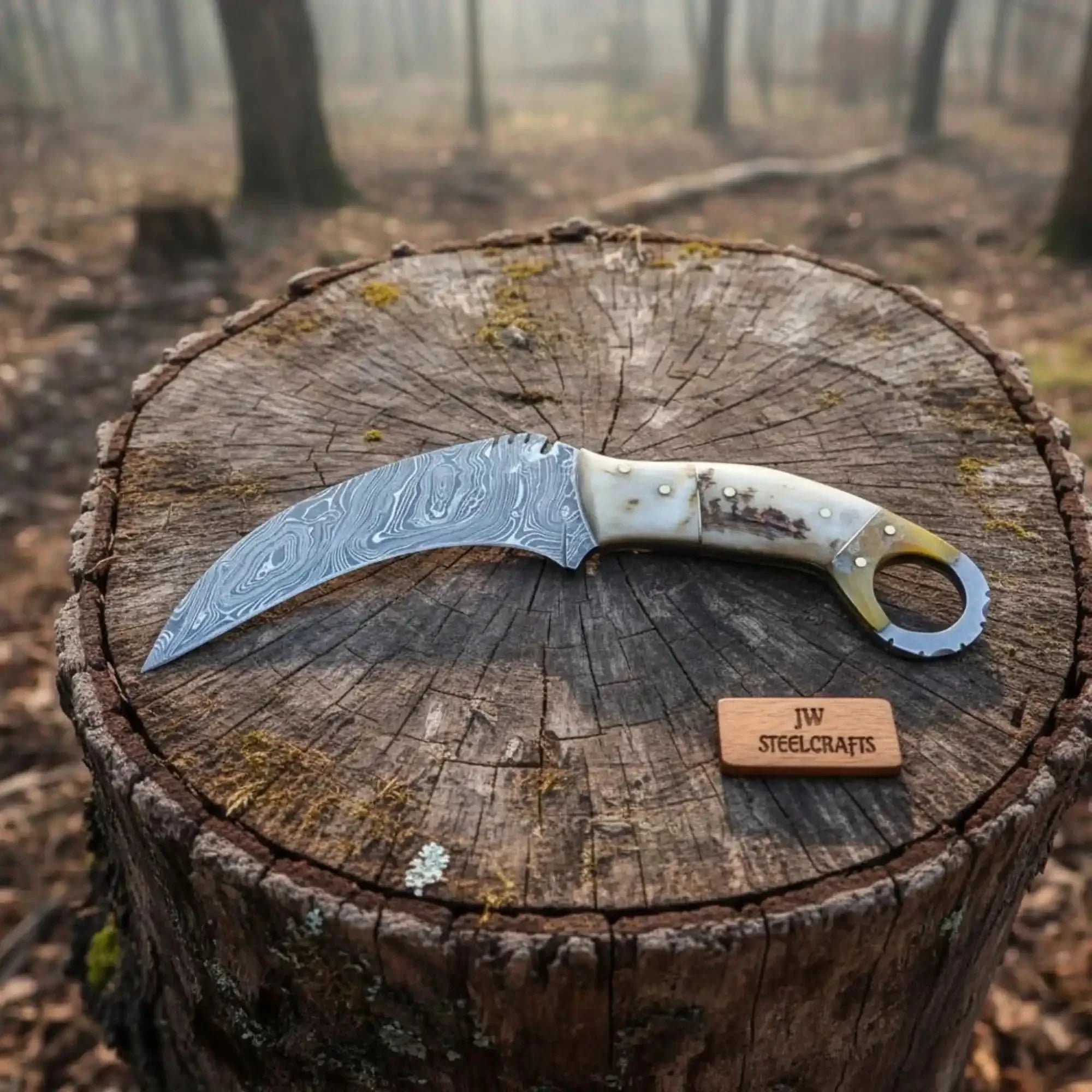 Handmade Custom Du Hoc Karambit Knife.