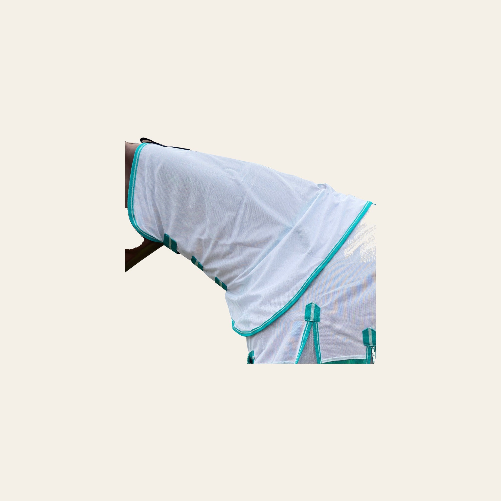HILASON Horse Fly Sheet - Summer Spring UV Protection Mesh Bug Mosquito FlySheet for Horses | Fly-Sheet