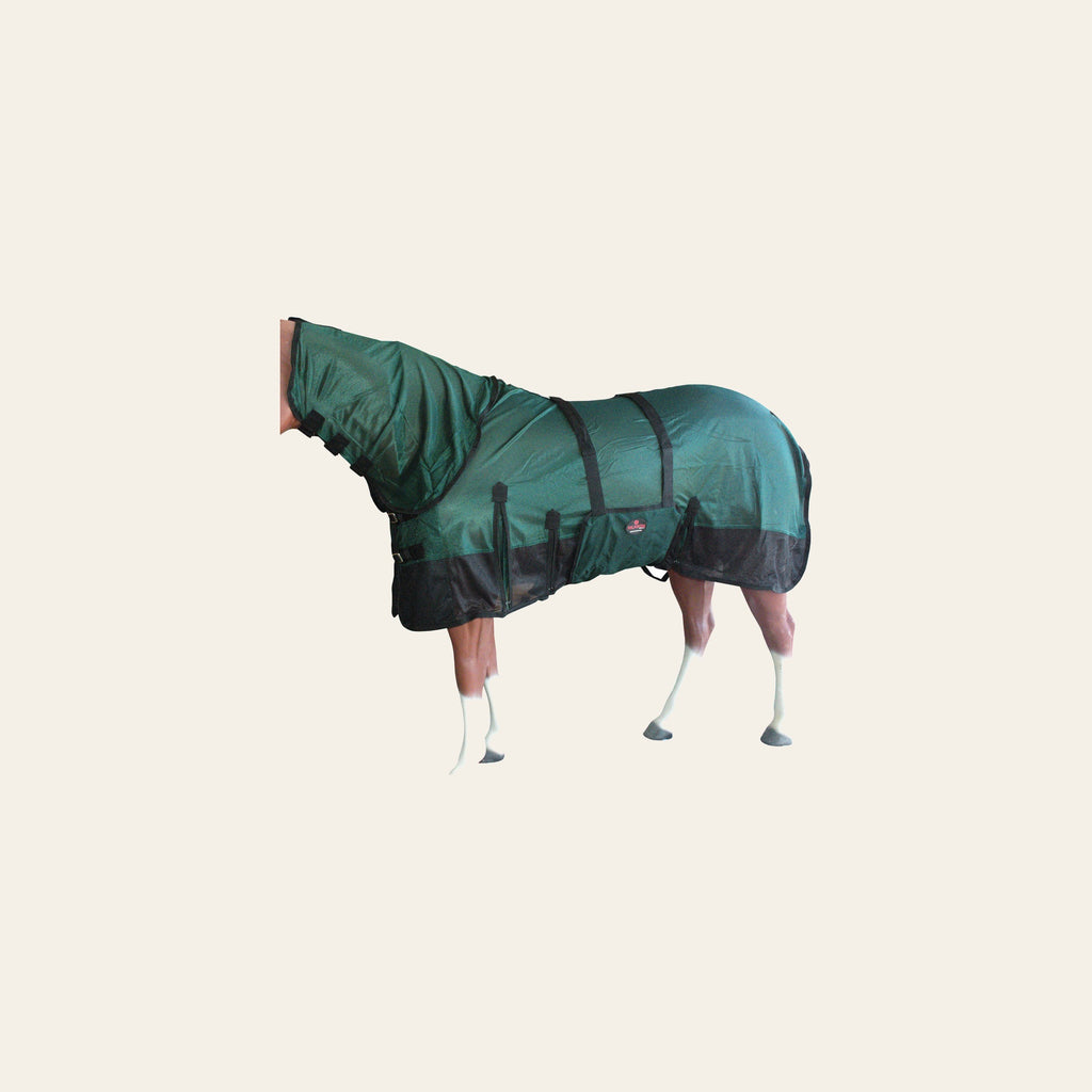 HILASON Horse Fly Sheet - Summer Spring UV Protection Mesh Bug Mosquito FlySheet for Horses | Fly-Sheet