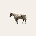 HILASON Horse Fly Sheet UV Protect Breathable Mesh Bug Mosquito Spring | Summer Horse Rug | Fly Rug