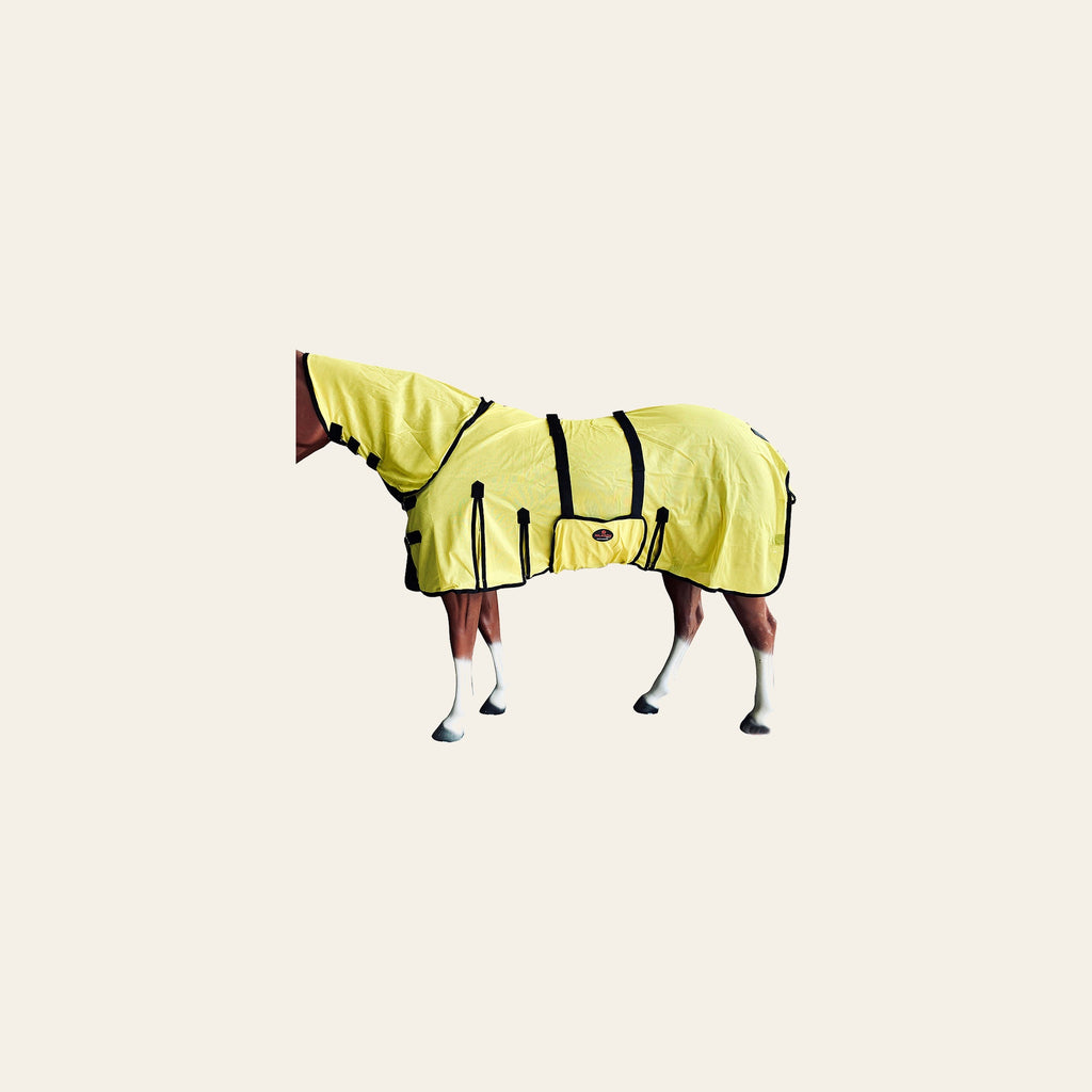 HILASON Horse Fly Sheet UV Protect Breathable Mesh Bug Mosquito Spring | Summer Horse Rug | Fly Rug