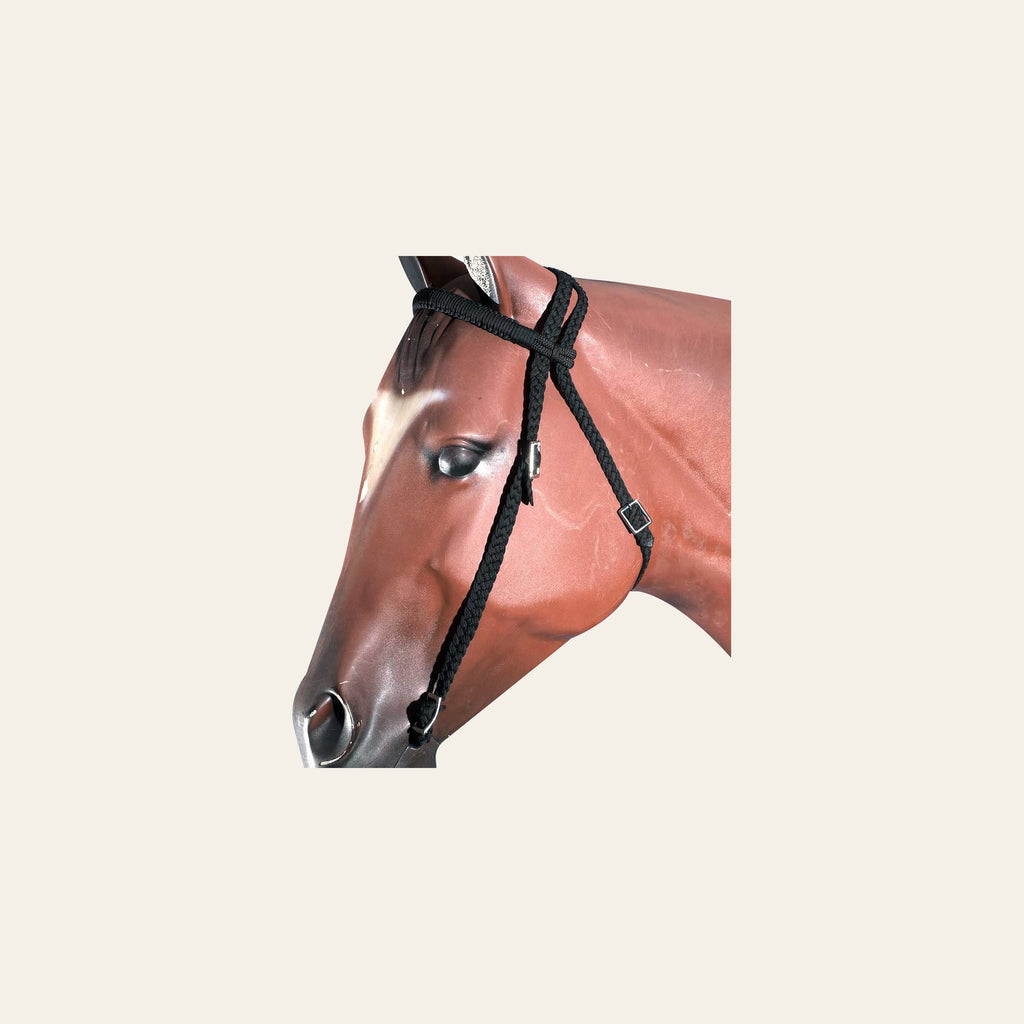 Hilason Horse Bridle Headstall Flat Braided Paracord