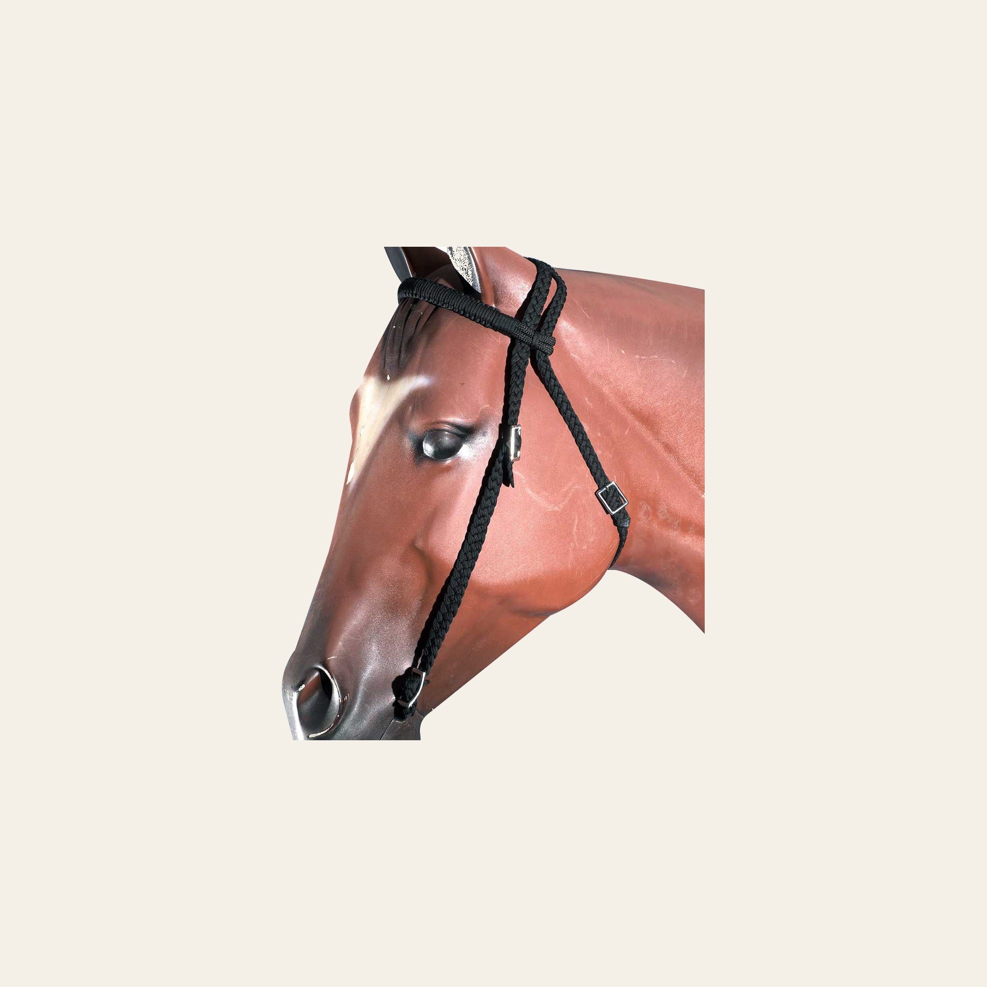 Hilason Horse Bridle Headstall Flat Braided Paracord