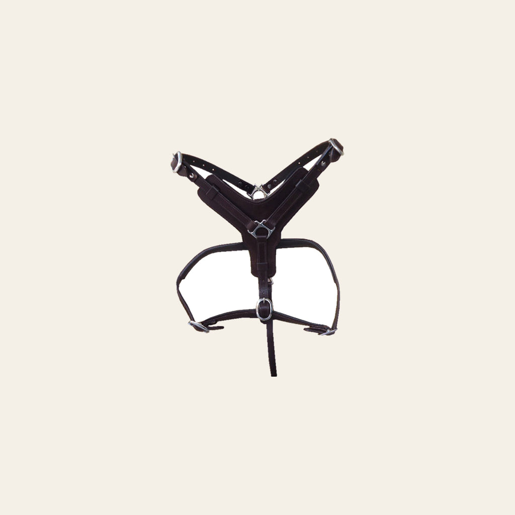 Sml Hilason Western Padded Dog Harness Genuine Leather Stainless Steel Black