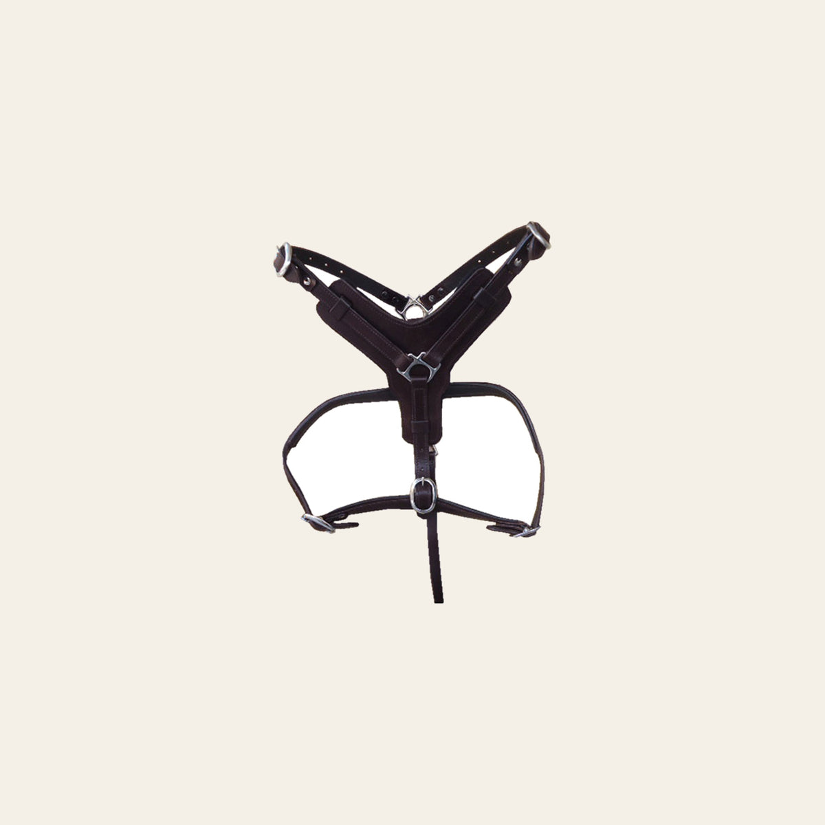 Sml Hilason Western Padded Dog Harness Genuine Leather Stainless Steel Black