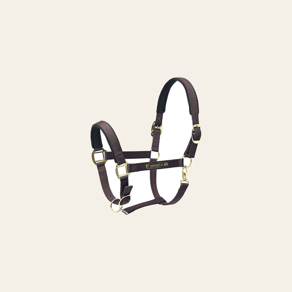 HILASON Western Safety Horse Halter Comfortable and Flexible | Nylon Halters Adjustable Cute