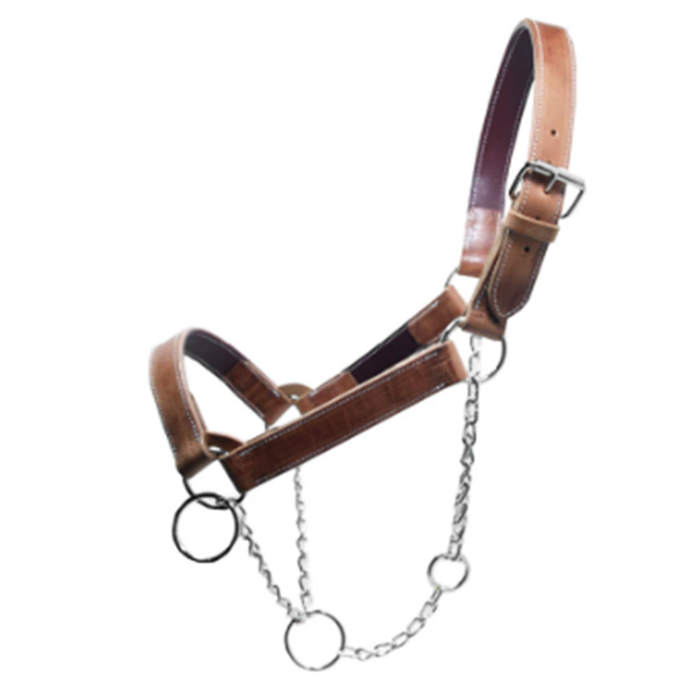 Hilason Premium Mule Chain Halter Heavy-Duty Leather for Mules