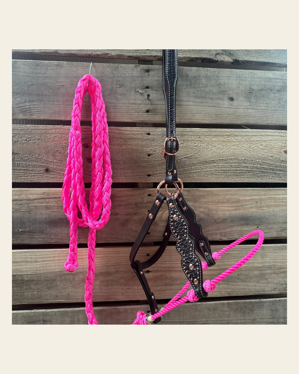 Hot Pink Honeycomb Tooled Lariat & Leather Combo Halter on a warm cream background
