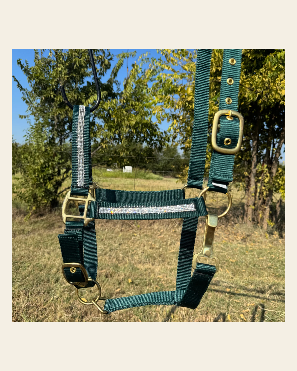 Hunter Green Bling Nylon Horse Halter BNHGRN on a warm cream background