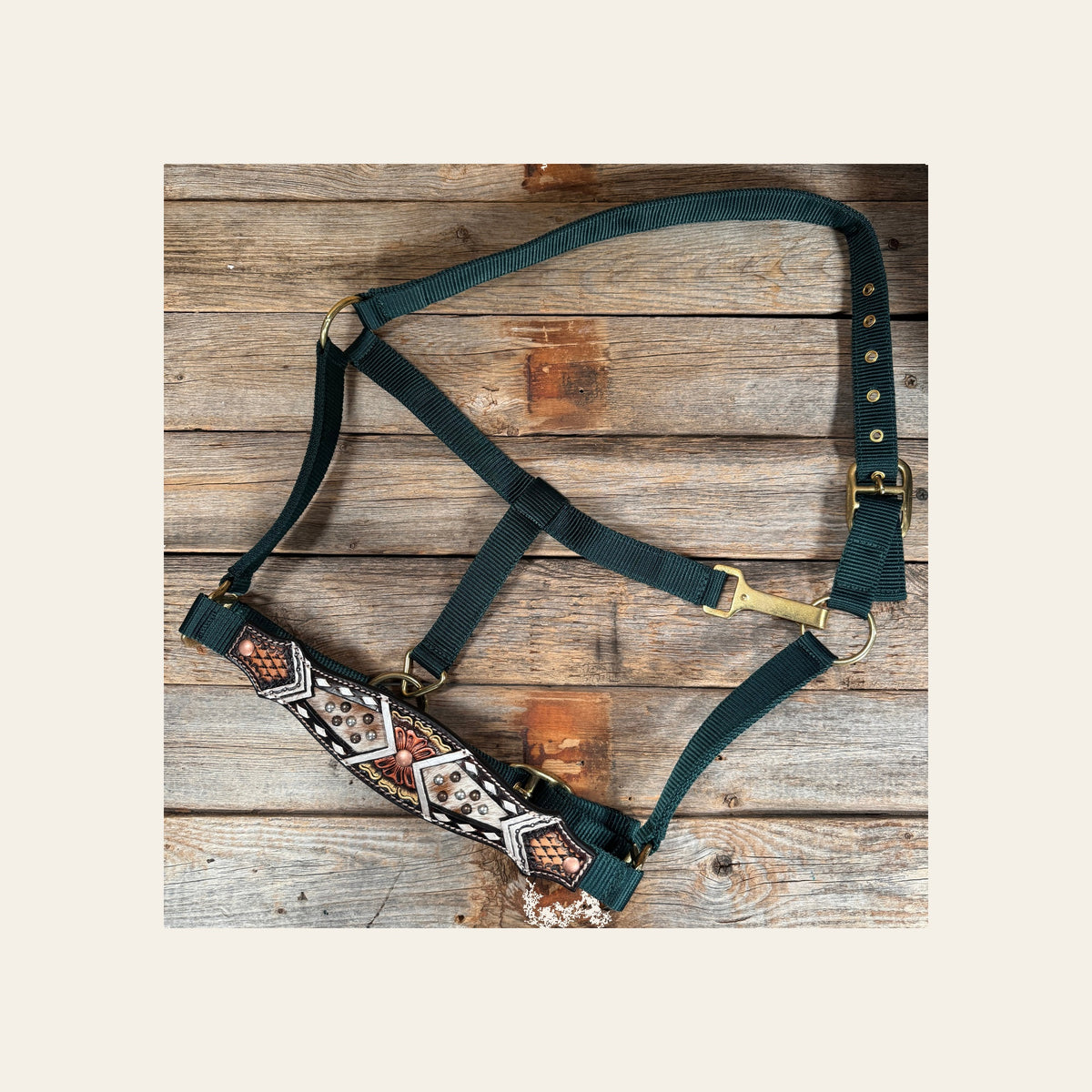 Hunter Green Nylon Halter with Cowhide Leather Noseband #NH121