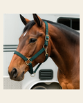 Hunter Green Nylon Horse Halter NHGRN on a warm cream background