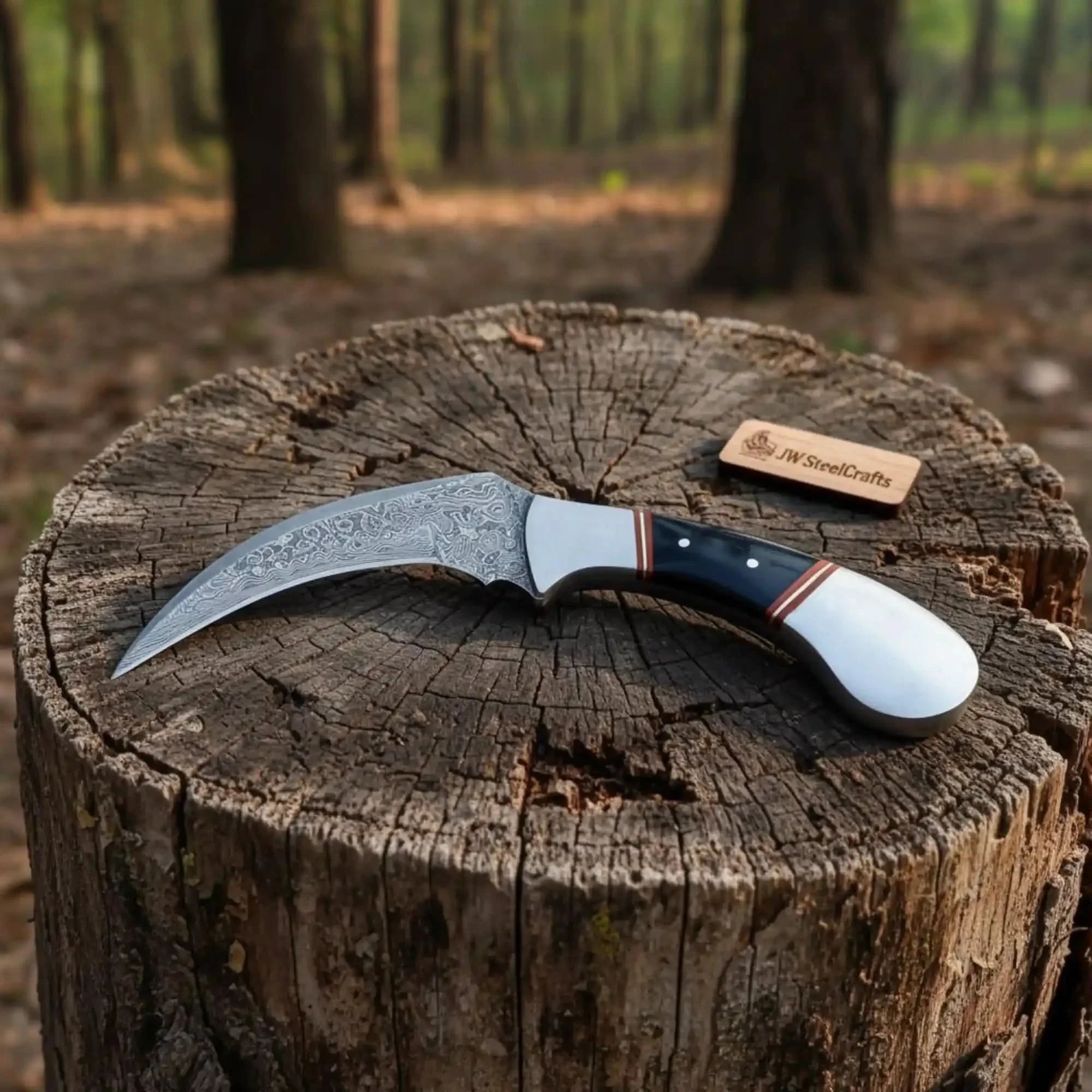 Karambit Knife with Black horn and Stainless steel handle.