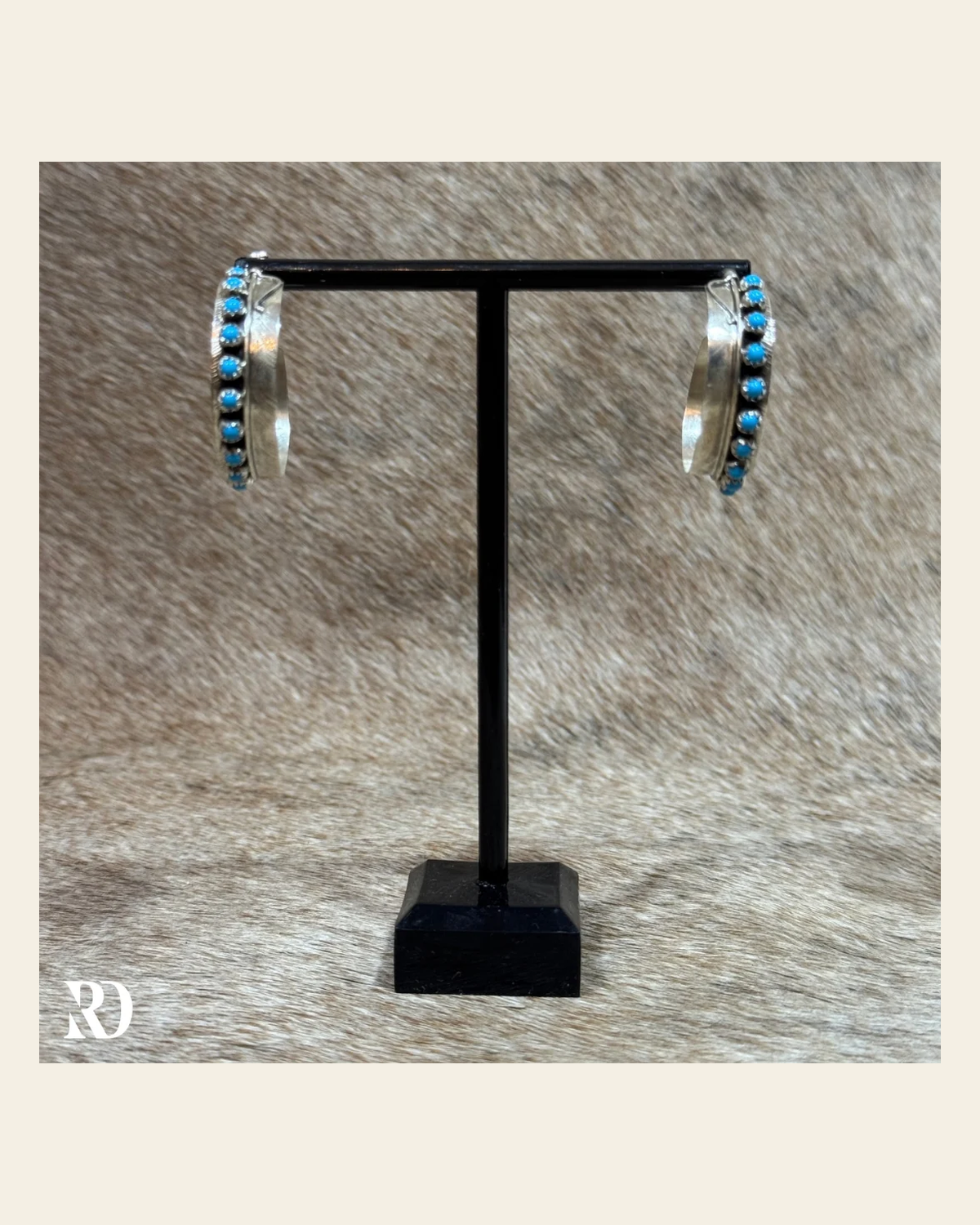 Large Feathered Hoop With Kingman Turquoise Earrings By Chester Charley on a warm cream background