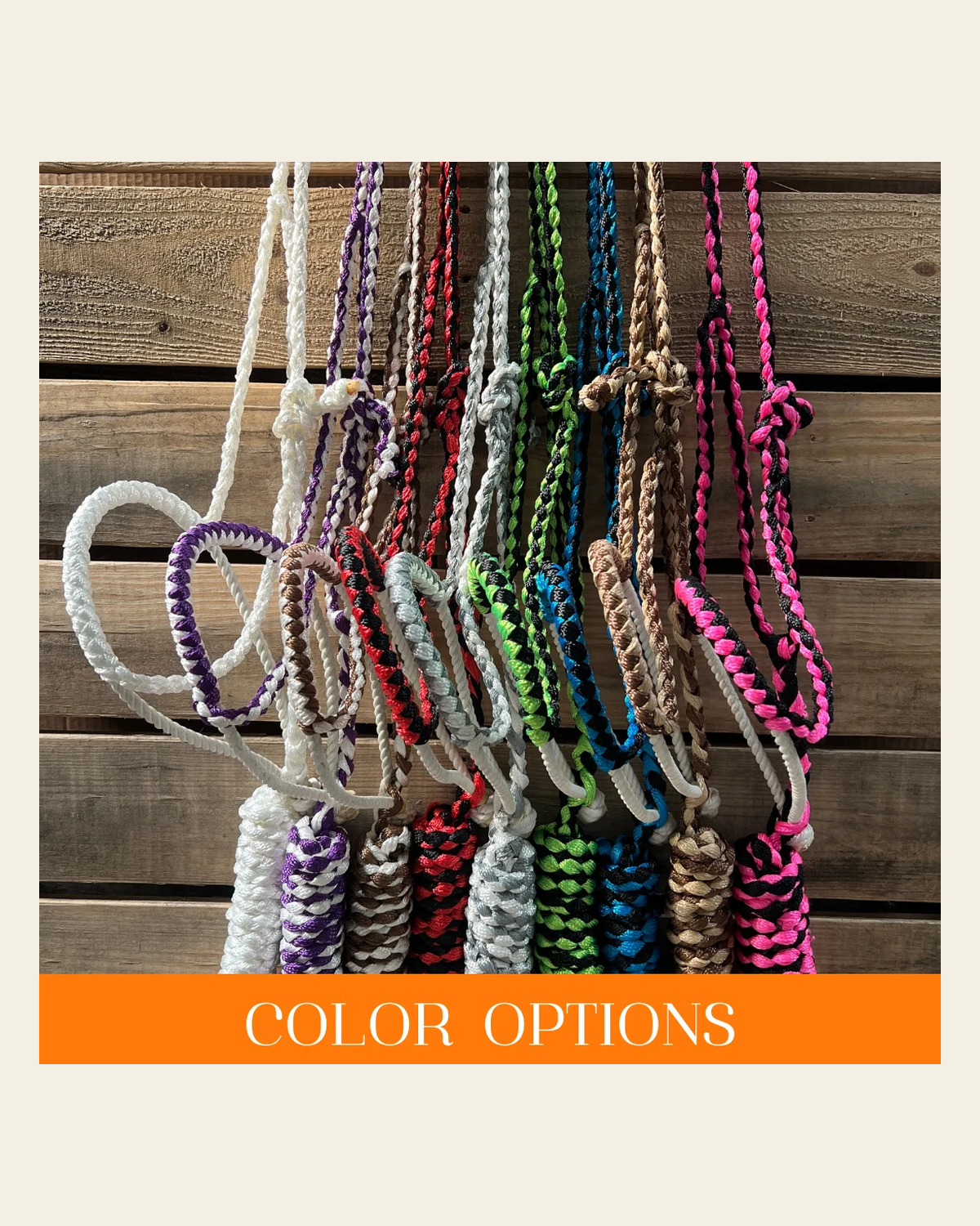 Lariat Mule Tape Halters - Assorted Double Colors- on a warm cream background