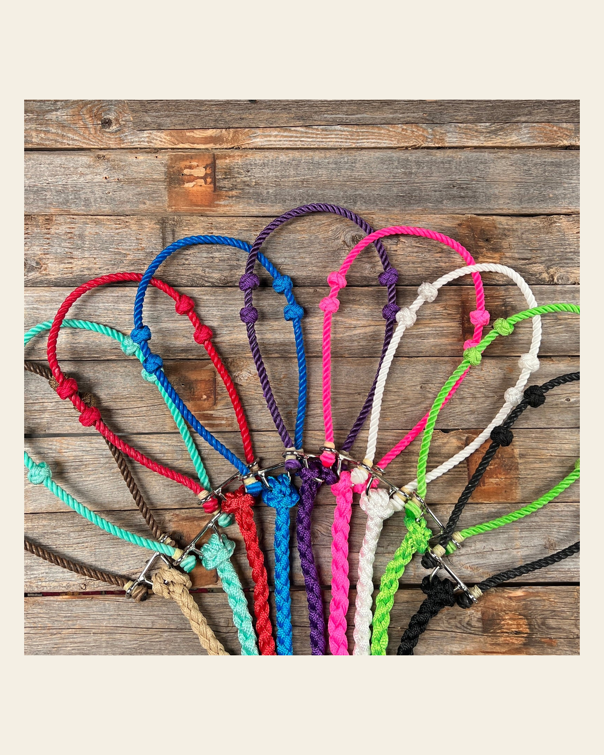 Lariat Noseband and Lead - Assorted Colors on a warm cream background