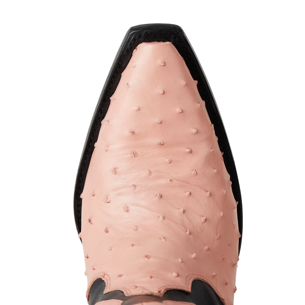 Jolene Exotic Boot - Blush Ostrich & Jet Black