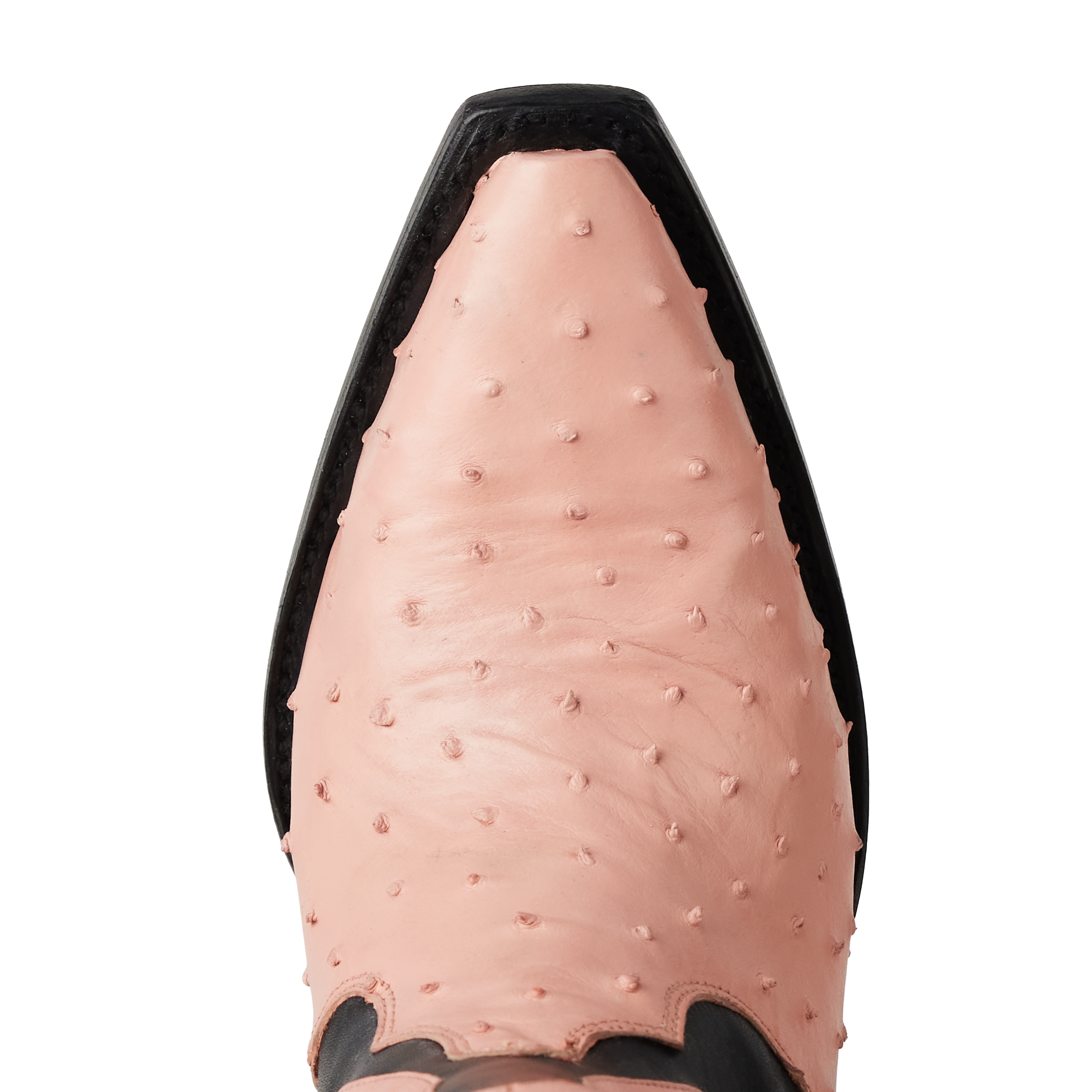 Jolene Exotic Boot - Blush Ostrich & Jet Black