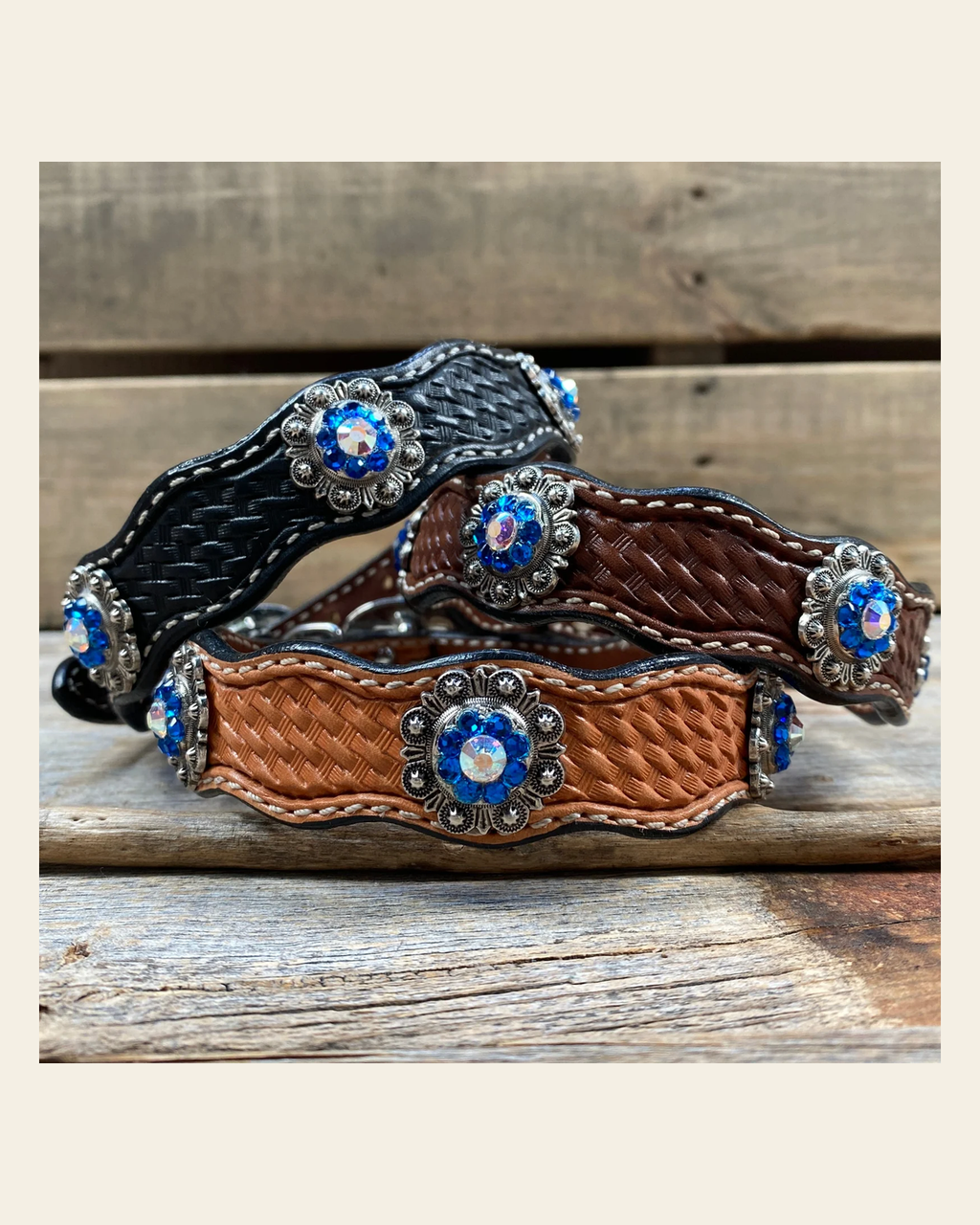 Genuine Leather Dog Collar With Antique Silver Capri and AB Conchos 10" to 22" -DC43 on a warm cream background