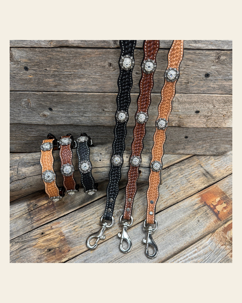 Genuine Leather Dog Collar or Leash With Antique Silver Clear Conchos 10" to 22" orDC44 on a warm cream background
