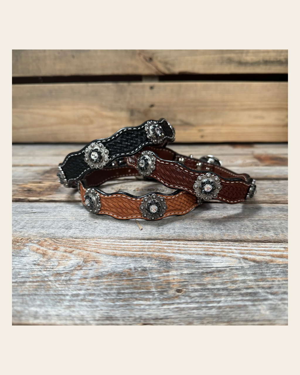 Genuine Leather Dog Collar With Antique Silver Jet and Clear Conchos 10" to 22" -DC75 on a warm cream background