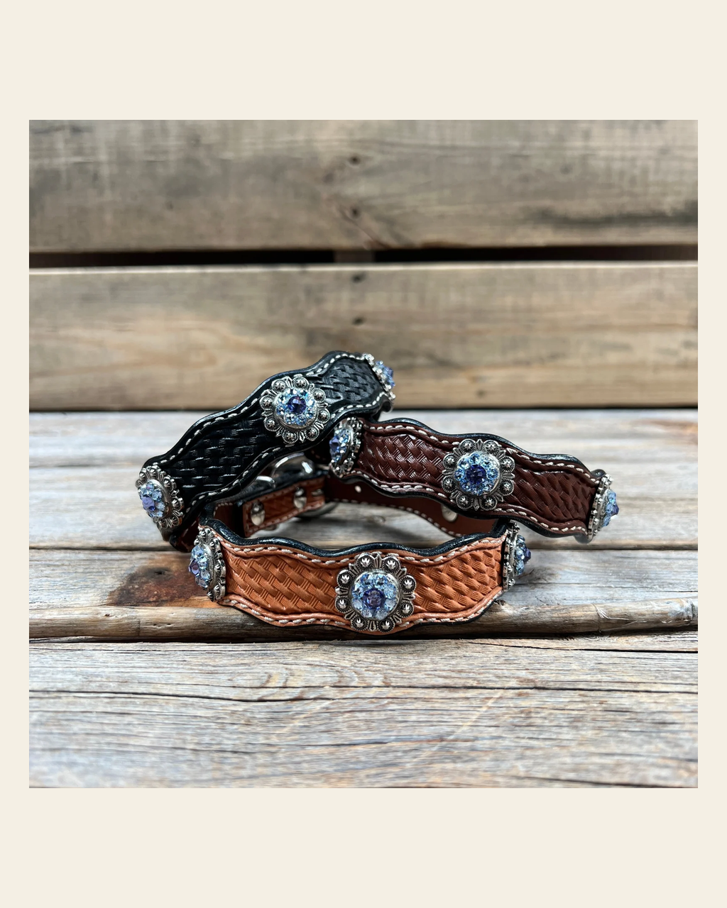 Genuine Leather Dog Collar With Antique Silver Lilac and Light Sapphire Conchos 10" to 22" -DC50 on a warm cream background